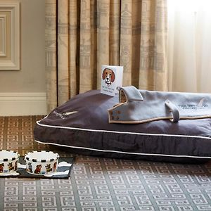 Premier King Room