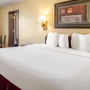 Executive King Suite