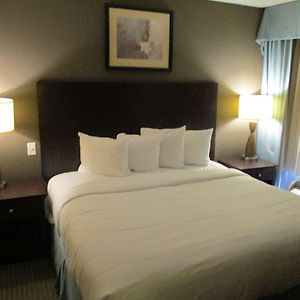 Two-Bedroom King Suite