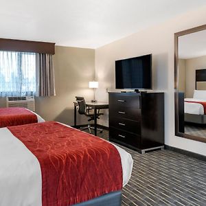 Queen Suite