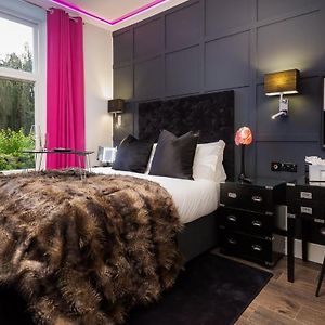 Standard Studio Apartment