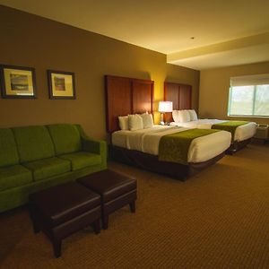 Queen Suite