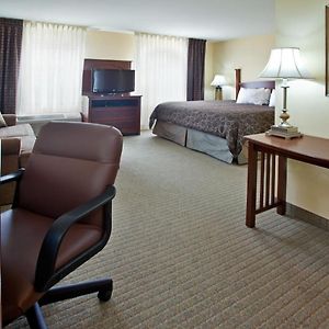 One-Bedroom Queen Suite