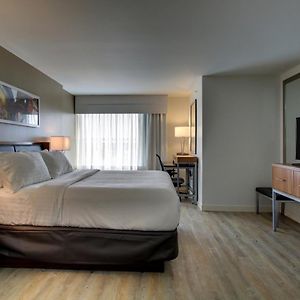 Executive King Suite