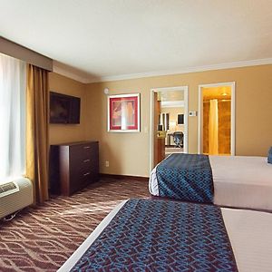 Queen Suite