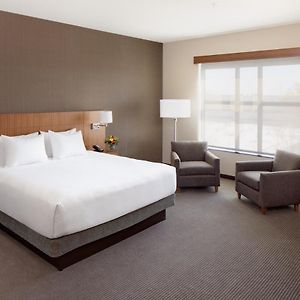 One-Bedroom King Suite