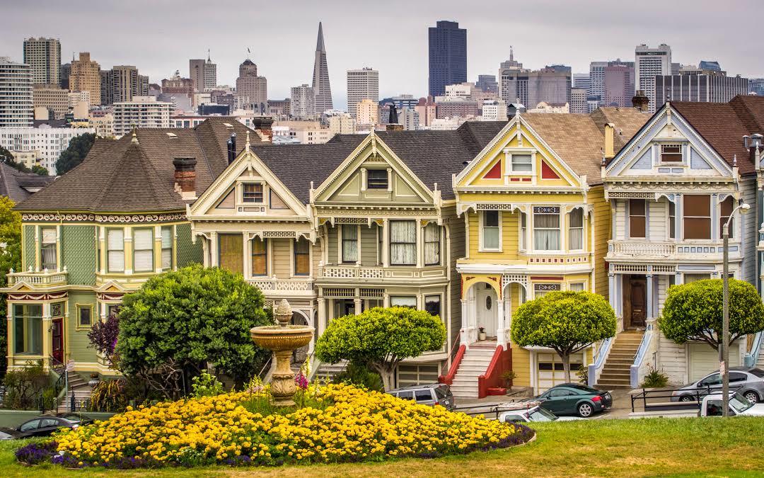 Painted Ladies