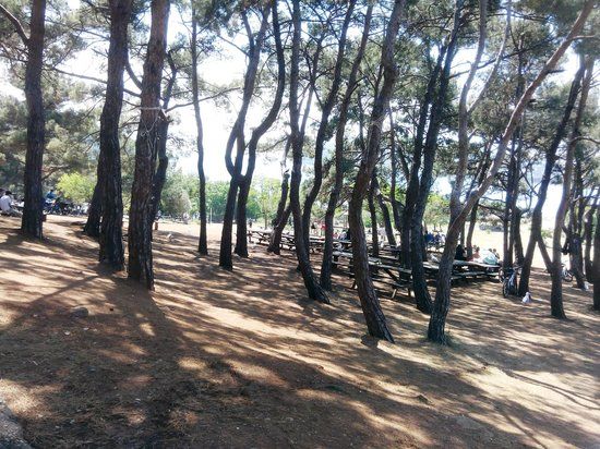 Degirmenburnu Nature Park