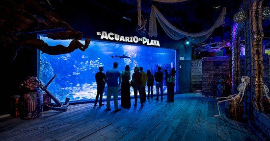 Aquarium Beach