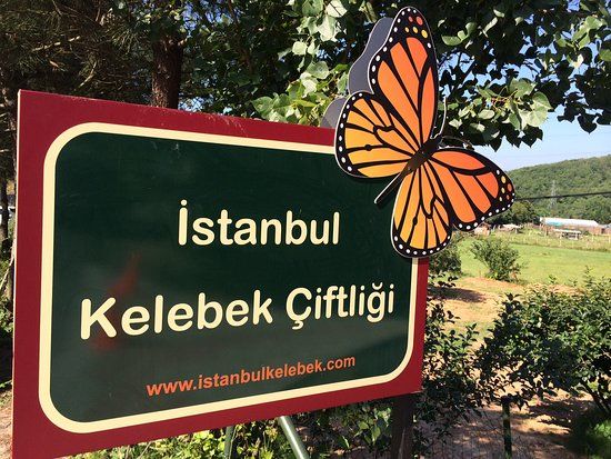 Istanbul Kelebek Ciftligi