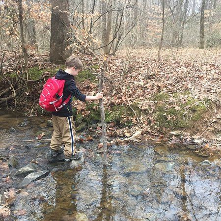 Ribbon Walk Nature Preserve