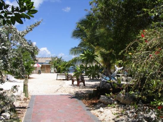 Dolphin Research Center