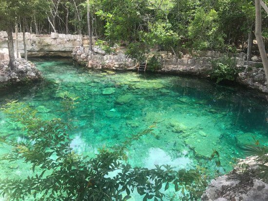 Cenotes Casa Tortuga Tulum