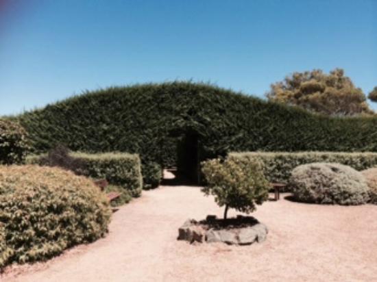 Boranup Forest Maze