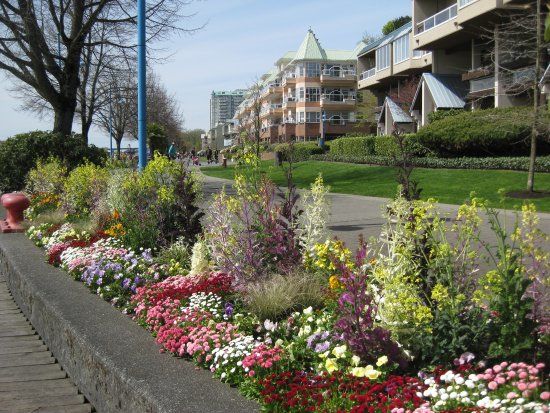 Quayside Esplanade & Boardwalk