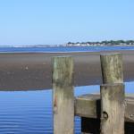 La Braza Pollos Asados