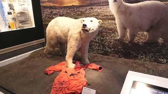 Zoological Museum Hamburg