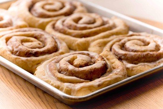 Terre Coffee & Bakery