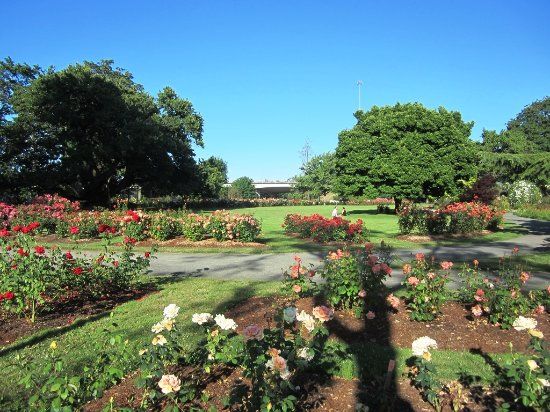 Owen Rose Garden