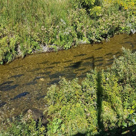 Cobourg Conservation Area