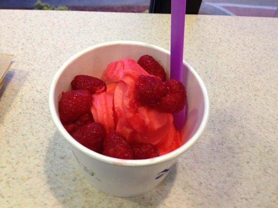 Yolickity Frozen Yogurt Bar