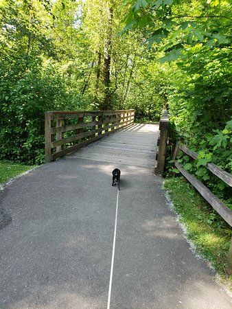 Wallace Swamp Creek Park