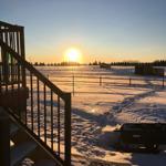 Holey Scoops Ice Cream