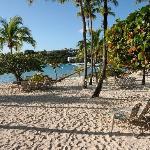 Olive & Fig Mediterranean Kitchen