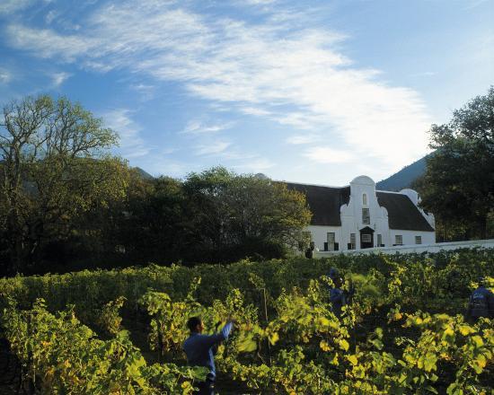 Groot Constantia