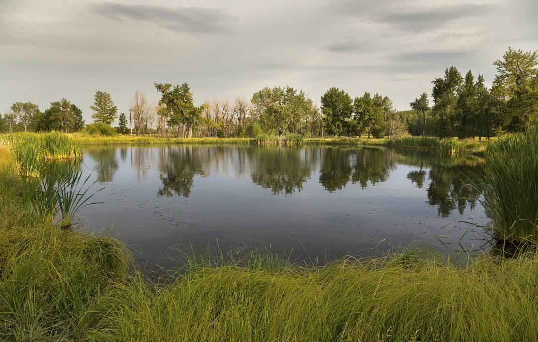 Fish Creek Provincial Park