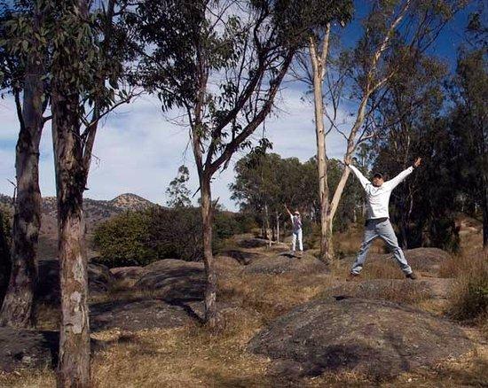 Bosque El Centinela