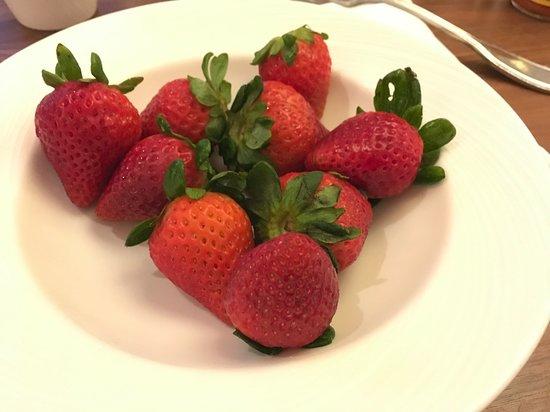 DEN Drink Eat Network