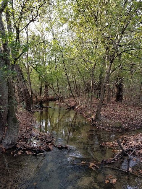 Sugar Hollow Park