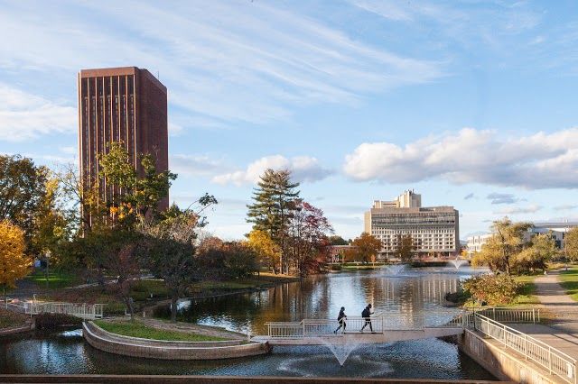 University of Massachusetts Amherst