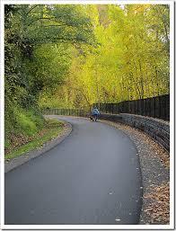 East Lake Sammamish Trail