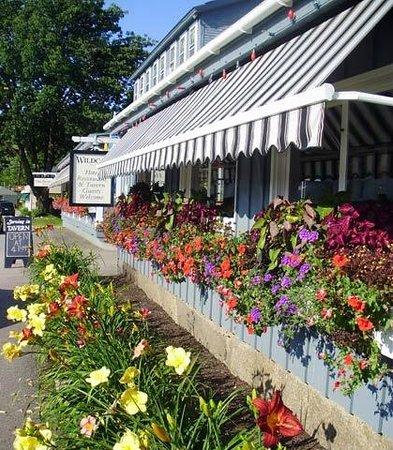 Wildcat Inn and Tavern