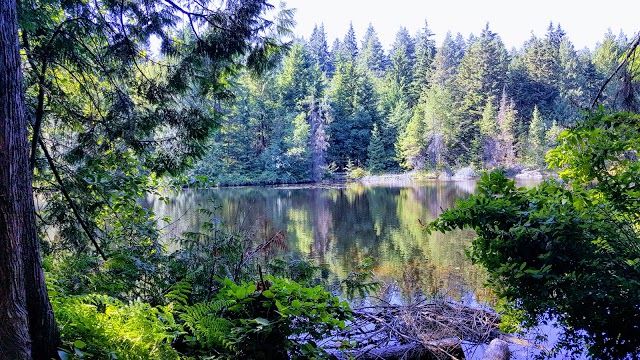 Mundy Park