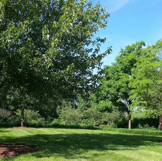 Headwaters Park