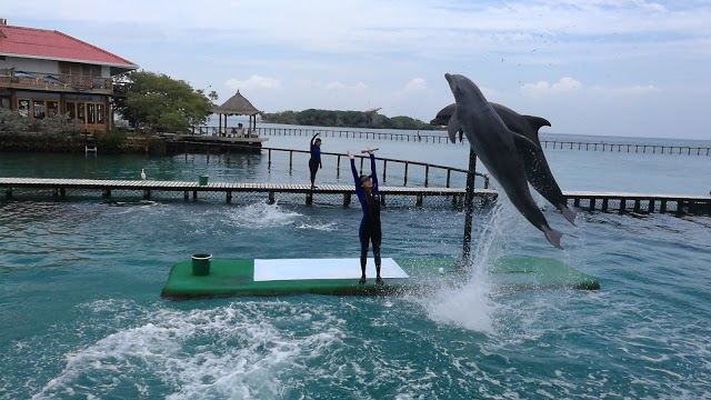 Oceanarium Rosario Islands