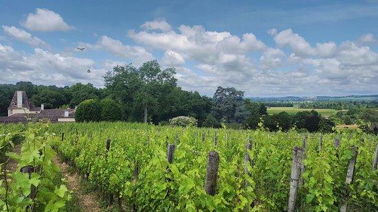 Entre Deux Vins
