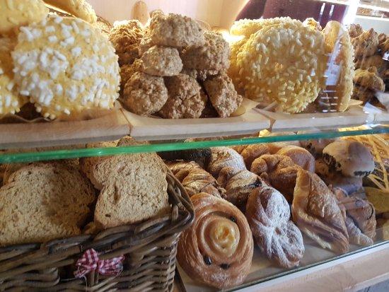 Paneria