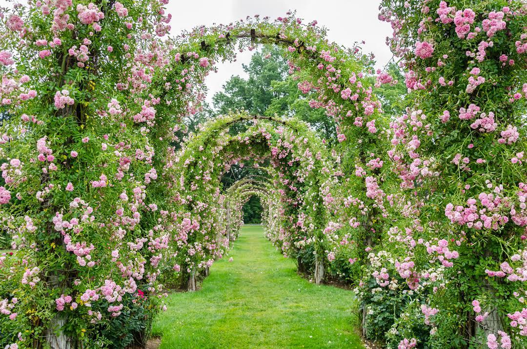 Elizabeth Park Conservancy