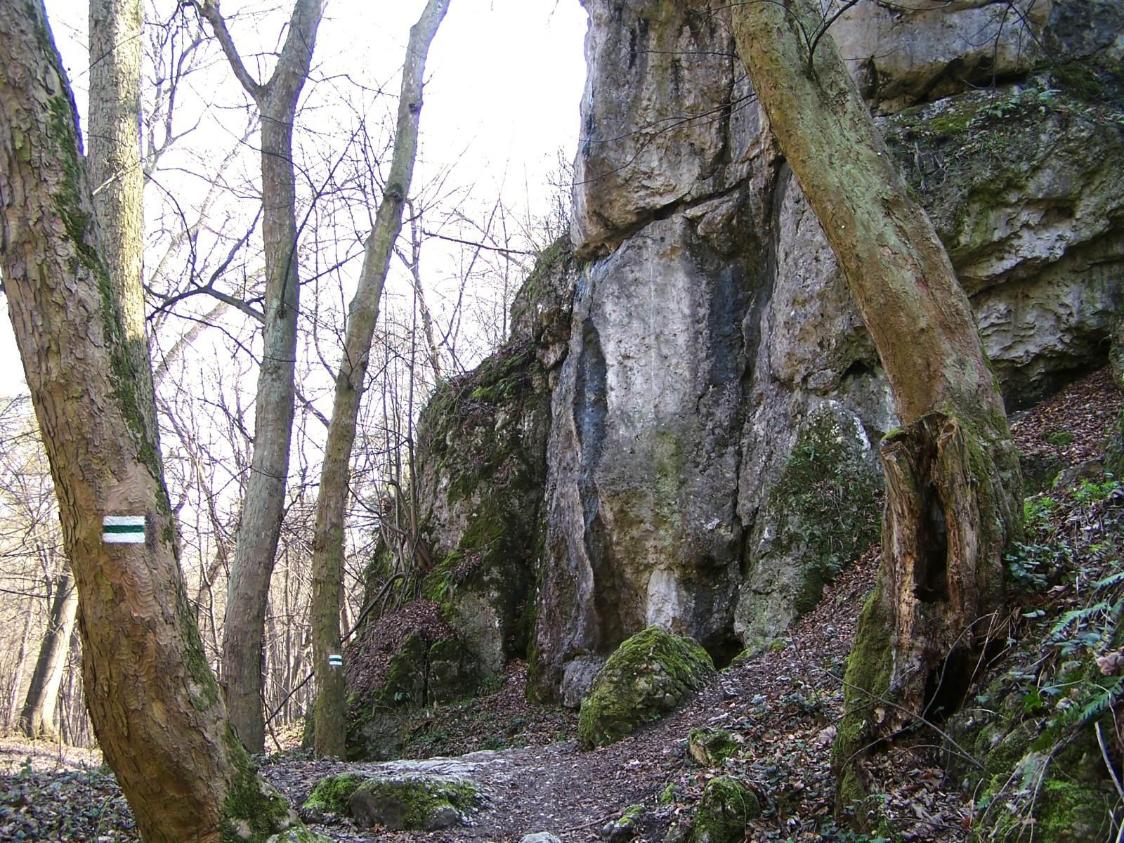 Nature reserve Panienskie Skaly