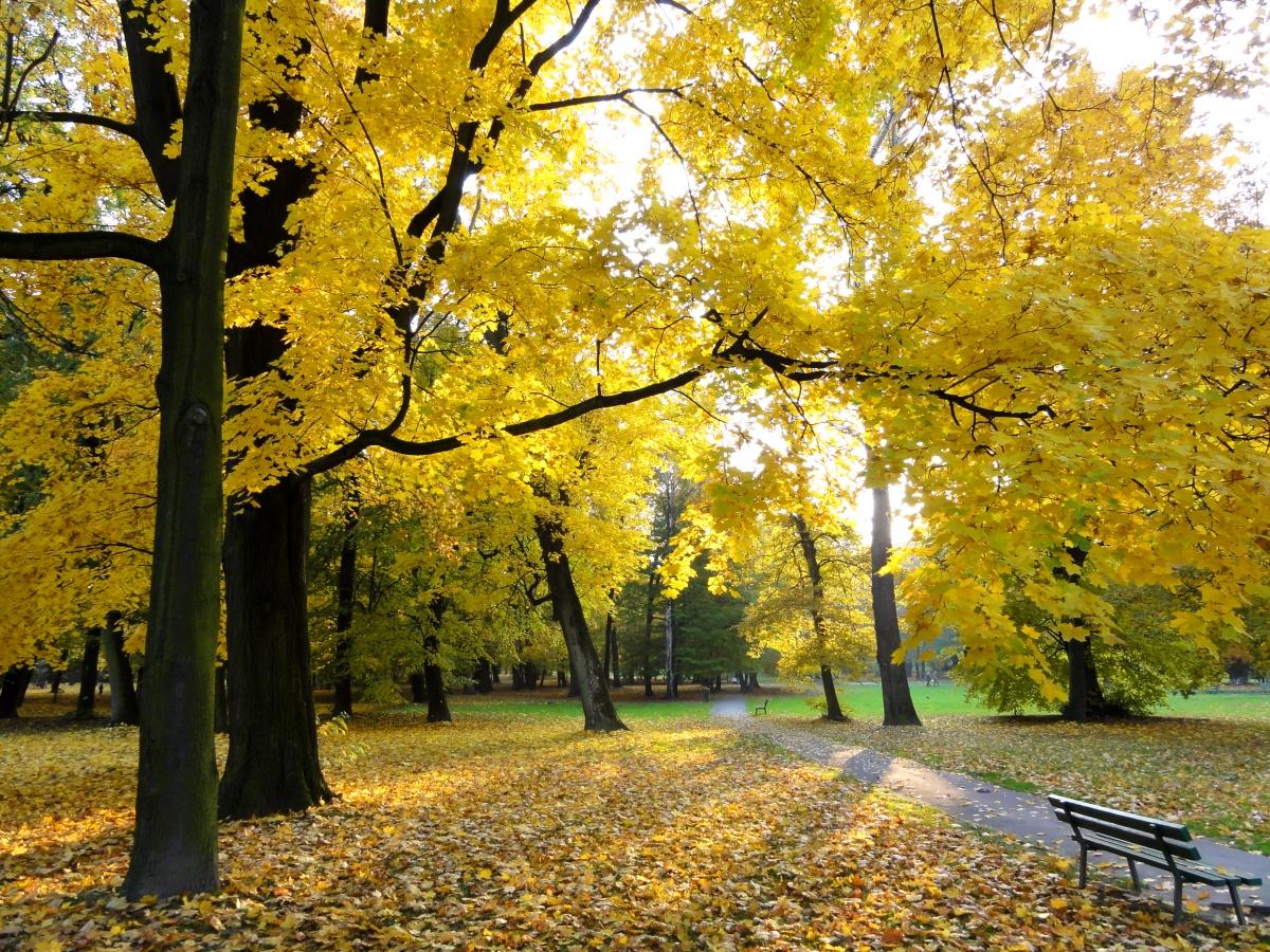 Decjusz Park in Krakow