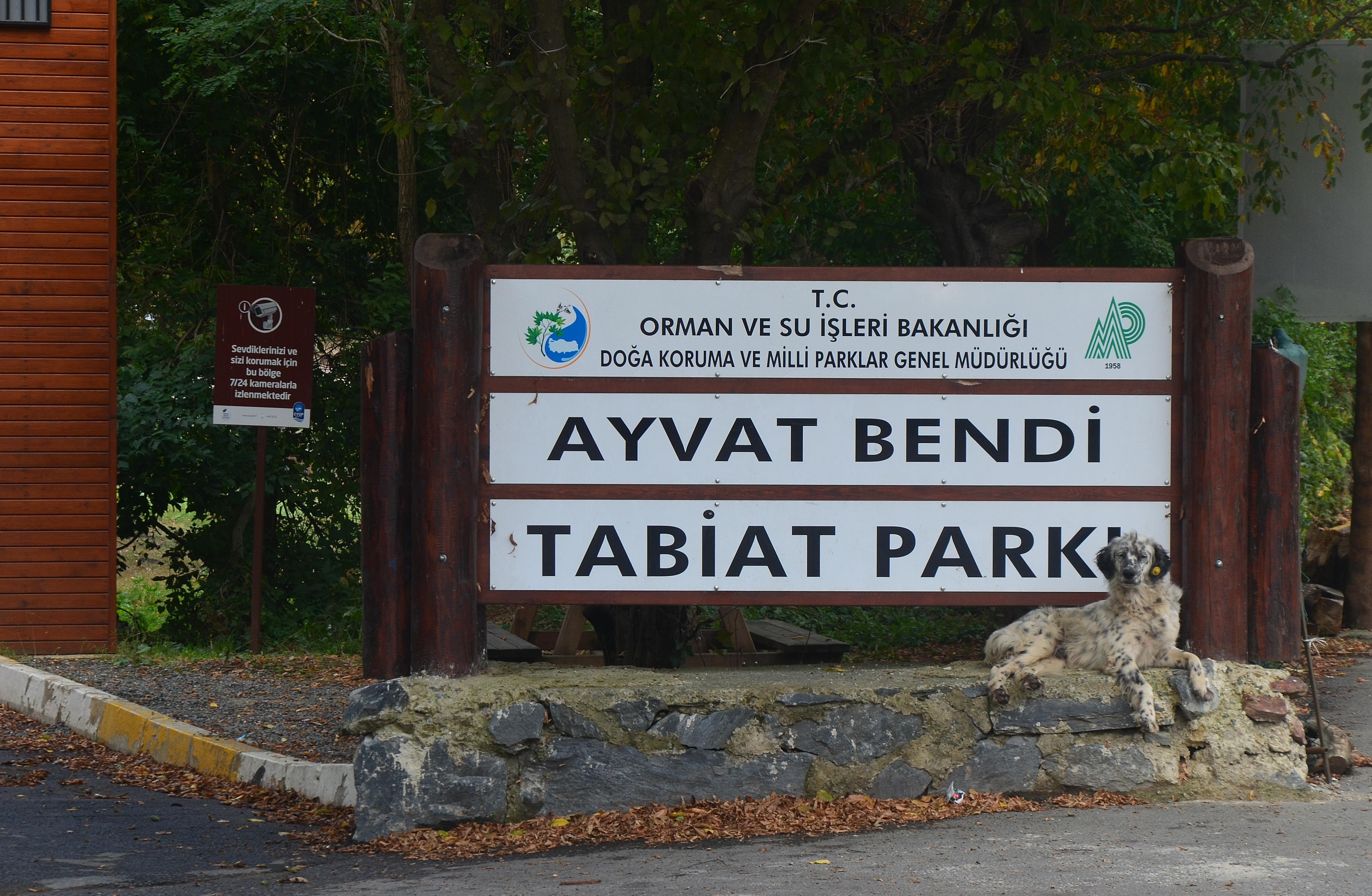 Ayvat Bendi Nature Park
