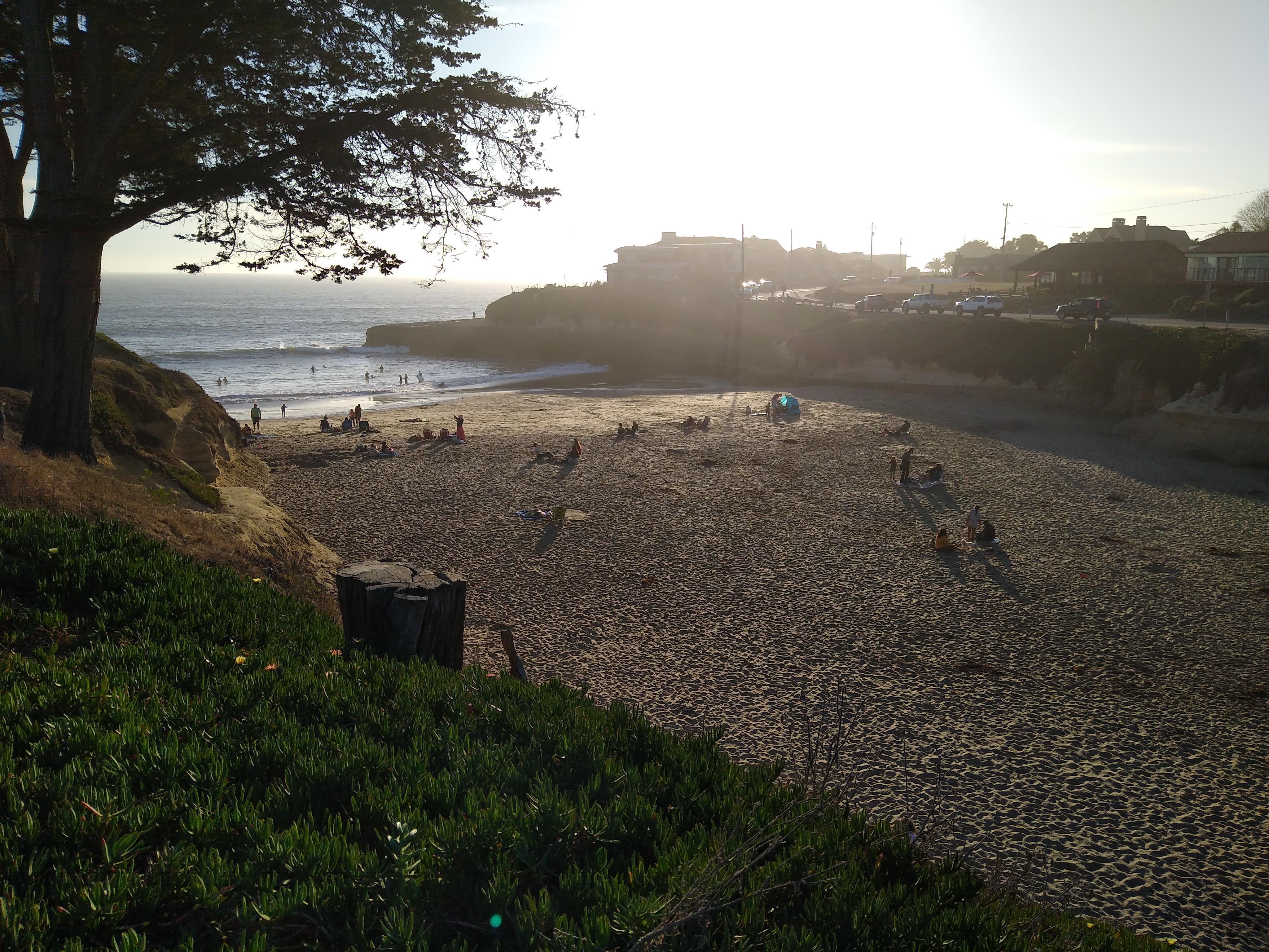 Sunny Cove