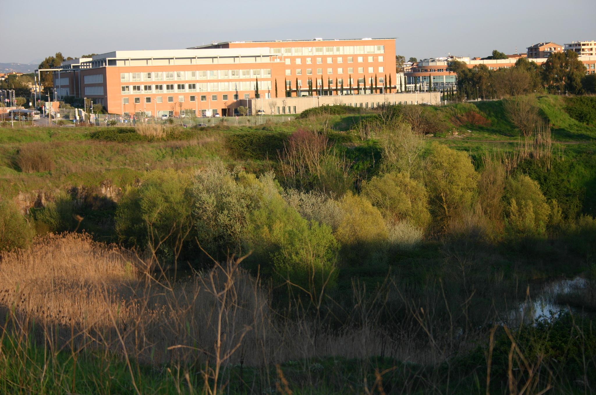 Universita Campus Bio-Medico di Roma