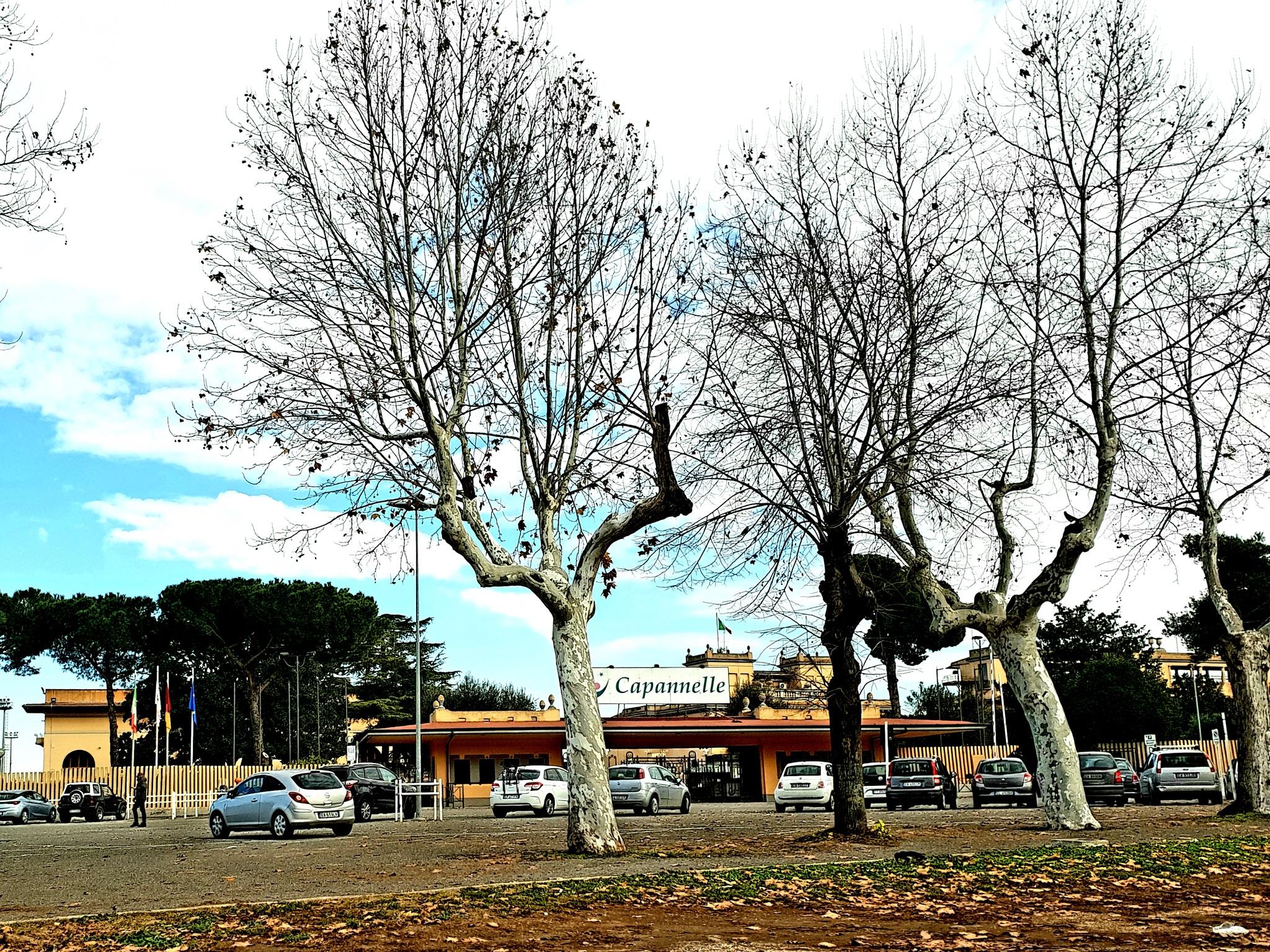 Capannelle Racecourse