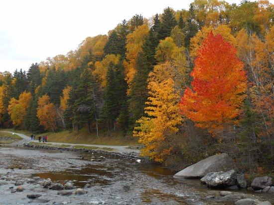 Corner Brook Stream Trail Network