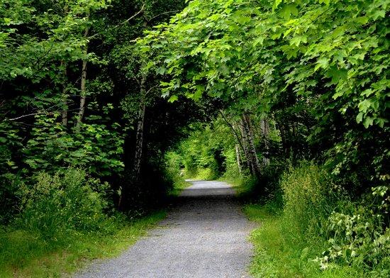 Waterford River Walk